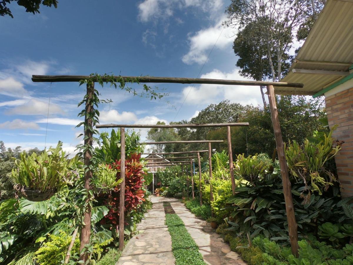 Tribu Ecohostal ลอส ซานตอส ภายนอก รูปภาพ