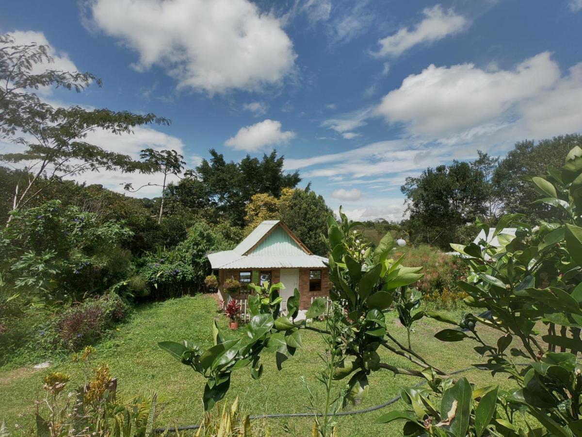 Tribu Ecohostal ลอส ซานตอส ภายนอก รูปภาพ