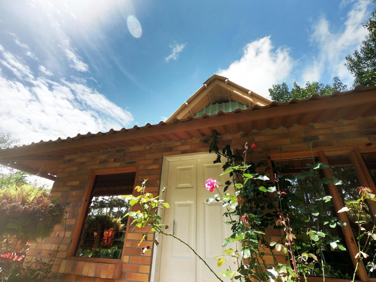 Tribu Ecohostal ลอส ซานตอส ภายนอก รูปภาพ