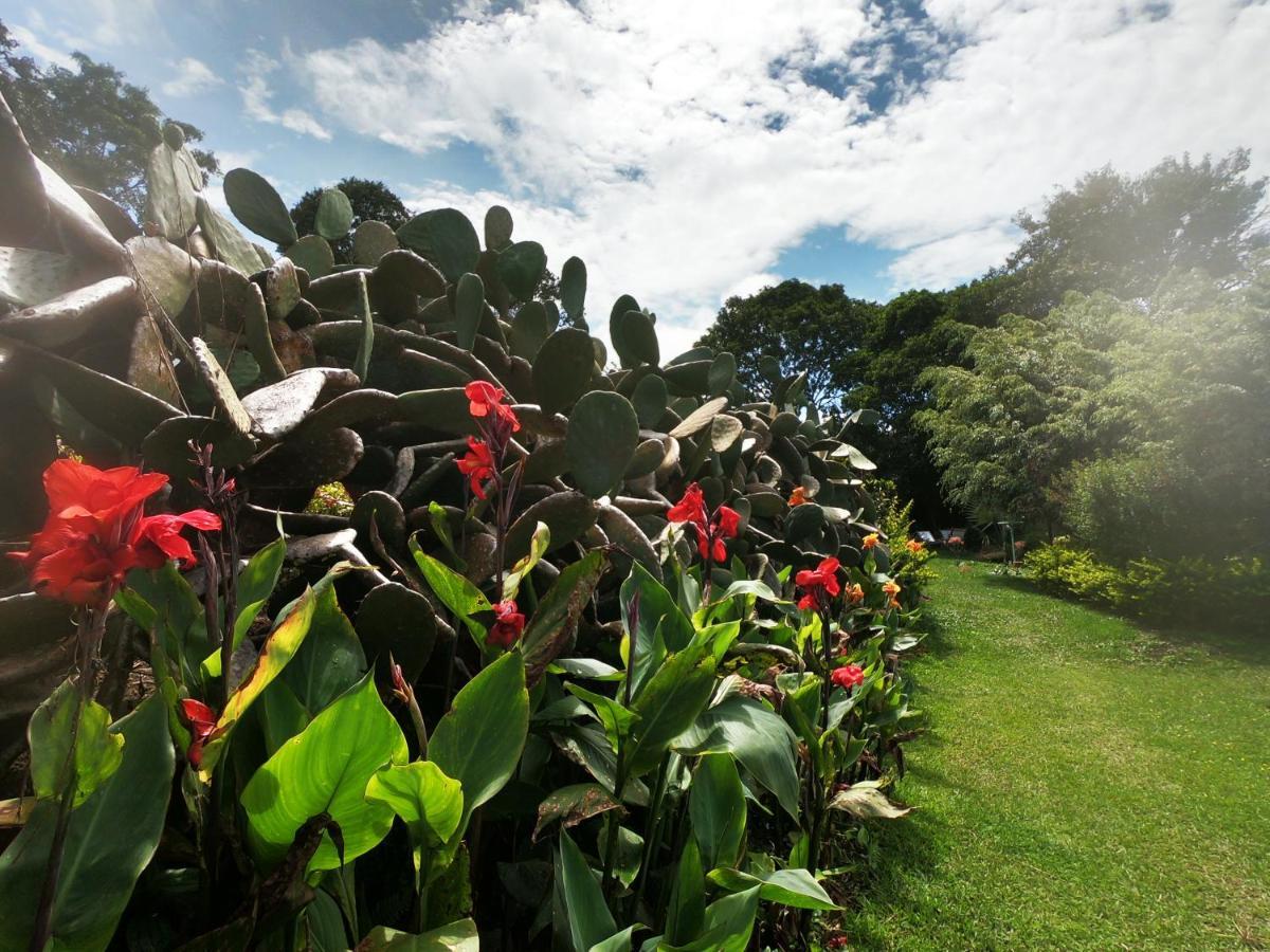 Tribu Ecohostal ลอส ซานตอส ภายนอก รูปภาพ
