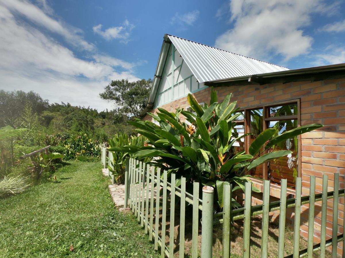 Tribu Ecohostal ลอส ซานตอส ภายนอก รูปภาพ
