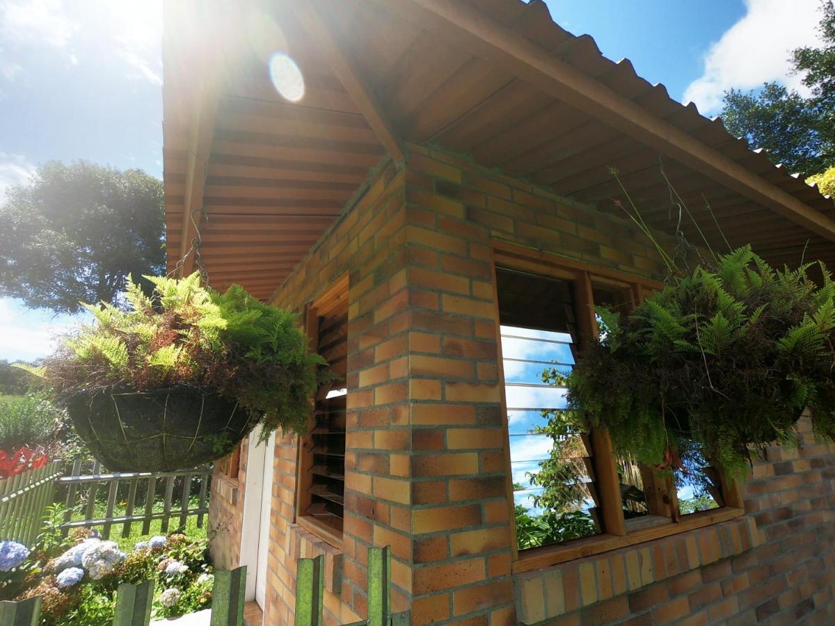 Tribu Ecohostal ลอส ซานตอส ภายนอก รูปภาพ