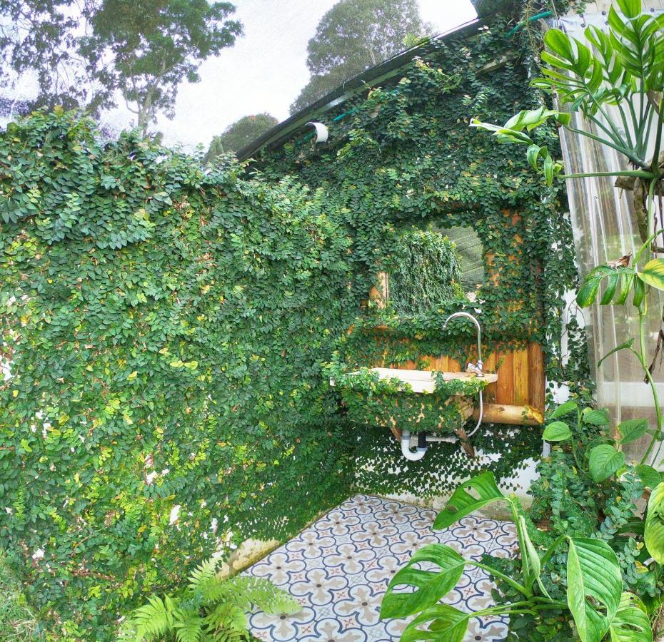 Tribu Ecohostal ลอส ซานตอส ภายนอก รูปภาพ