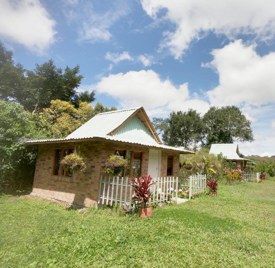 Tribu Ecohostal ลอส ซานตอส ภายนอก รูปภาพ