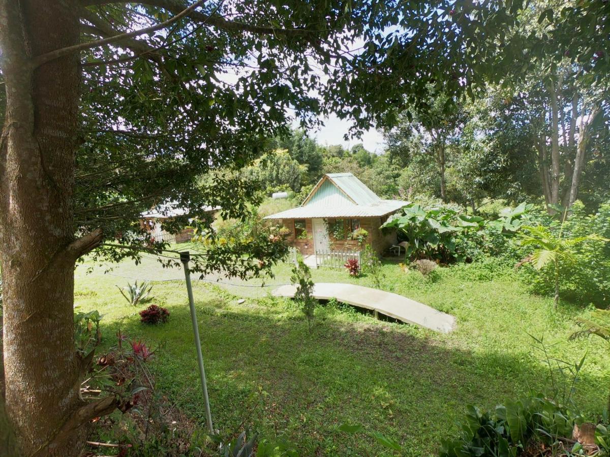 Tribu Ecohostal ลอส ซานตอส ภายนอก รูปภาพ
