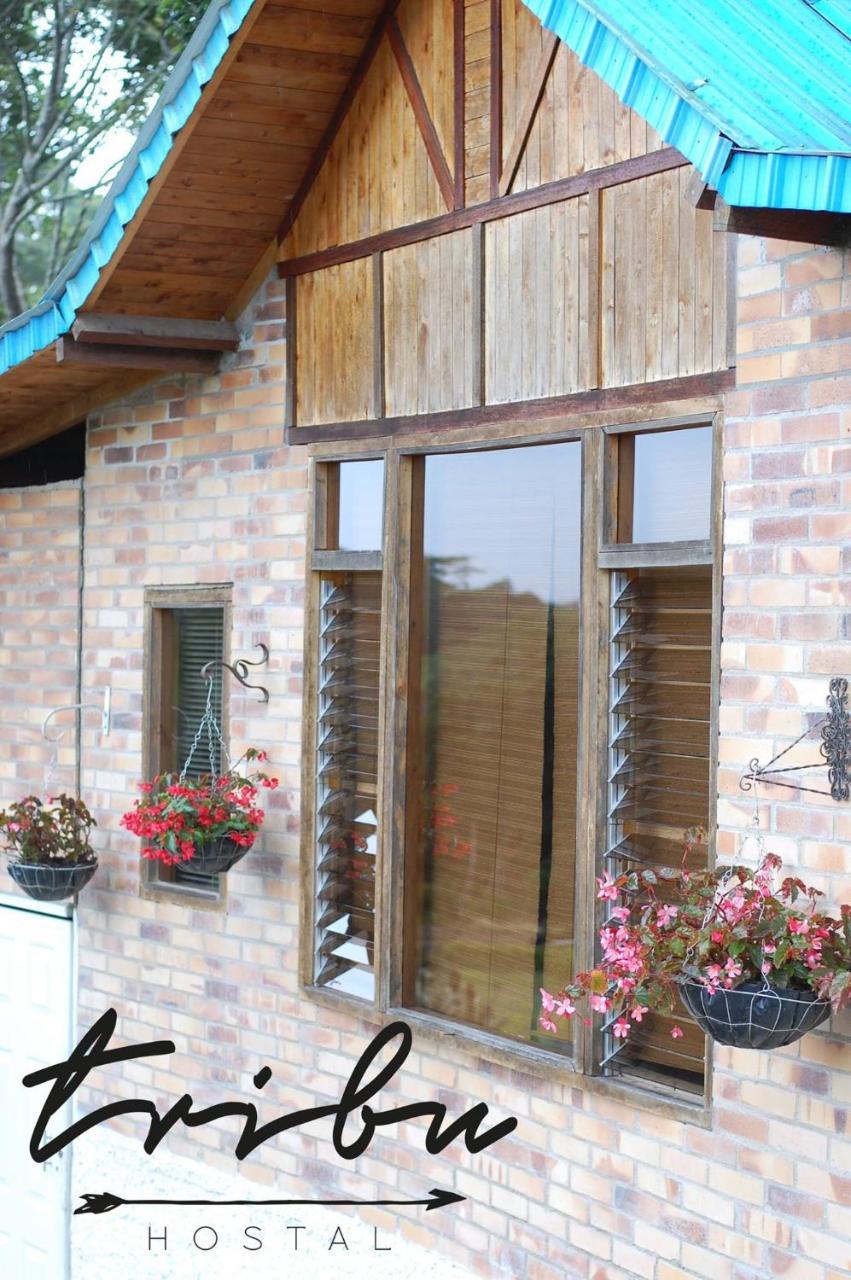 Tribu Ecohostal ลอส ซานตอส ภายนอก รูปภาพ