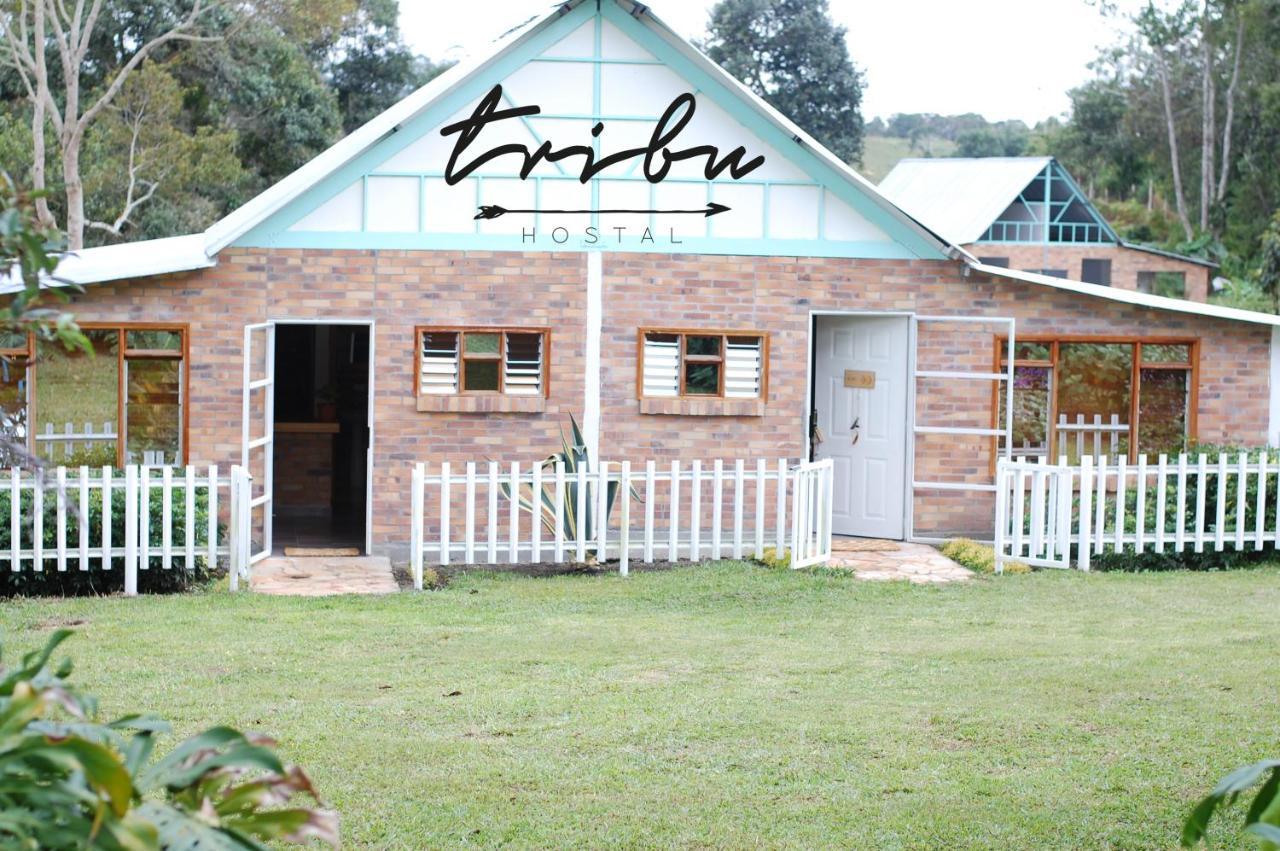Tribu Ecohostal ลอส ซานตอส ภายนอก รูปภาพ