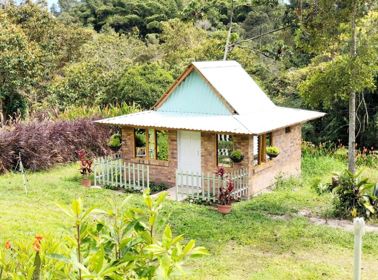 Tribu Ecohostal ลอส ซานตอส ภายนอก รูปภาพ
