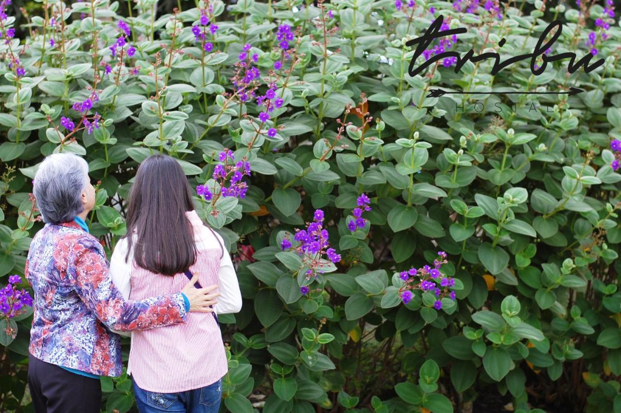 Tribu Ecohostal ลอส ซานตอส ภายนอก รูปภาพ