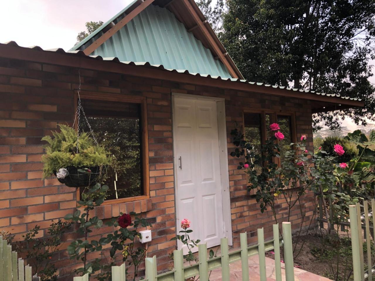 Tribu Ecohostal ลอส ซานตอส ภายนอก รูปภาพ
